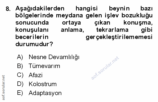 Soru 8