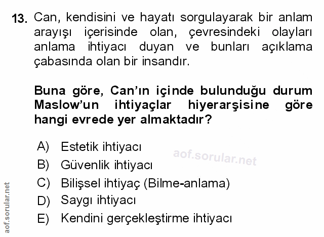 Soru 13