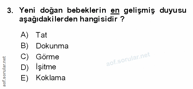 Soru 3