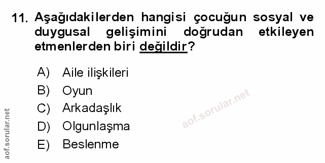 Soru 11