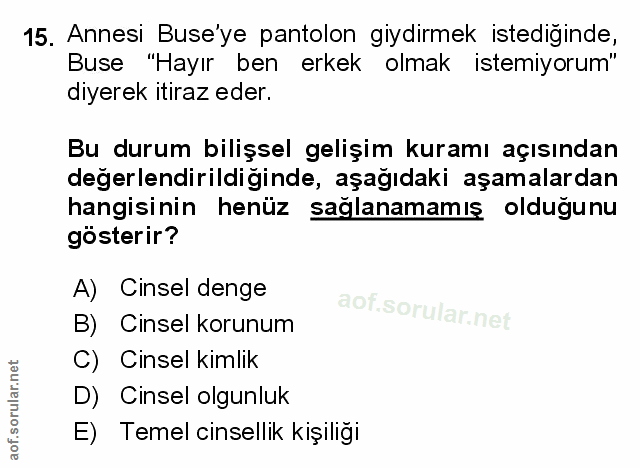 Soru 15