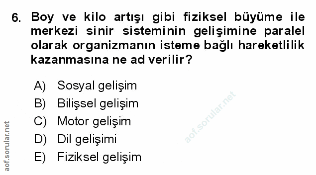 Soru 6