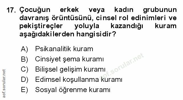 Soru 17