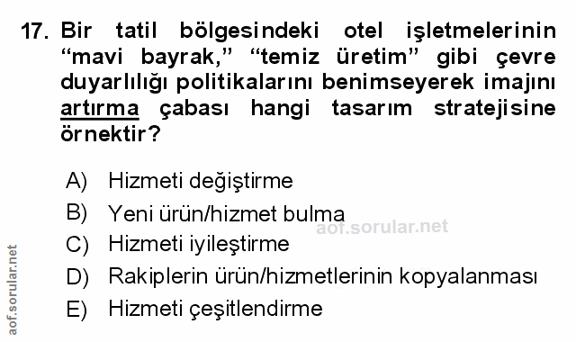 Soru 17