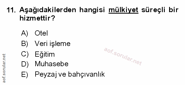 Soru 11