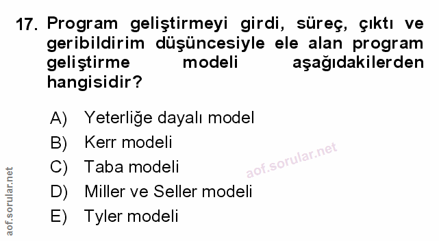Soru 17