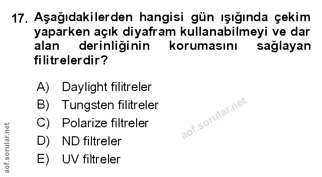 Soru 17