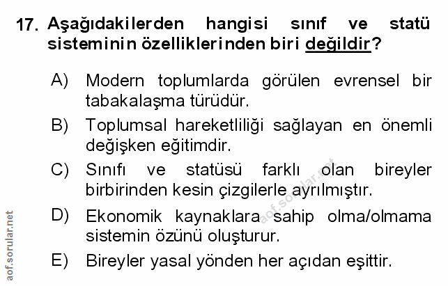 Soru 17