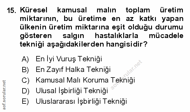 Soru 15