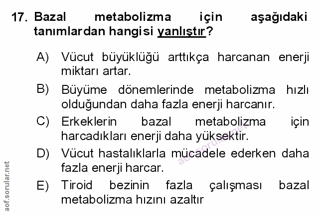 Soru 17