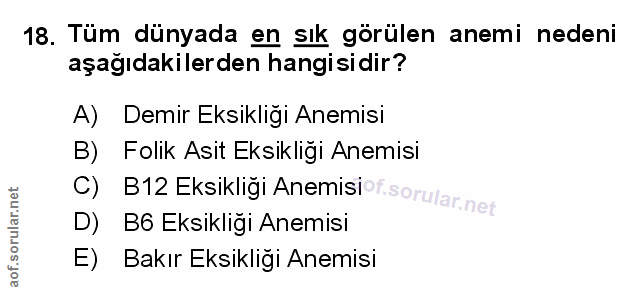 Soru 18