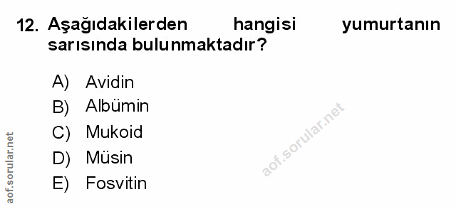 Soru 12