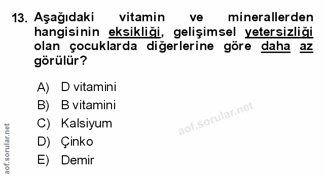 Soru 13