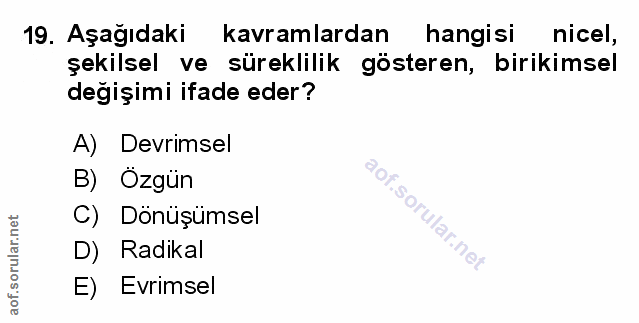 Soru 19
