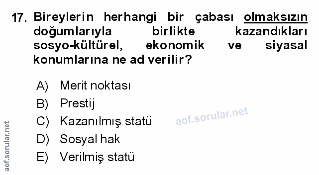 Soru 17
