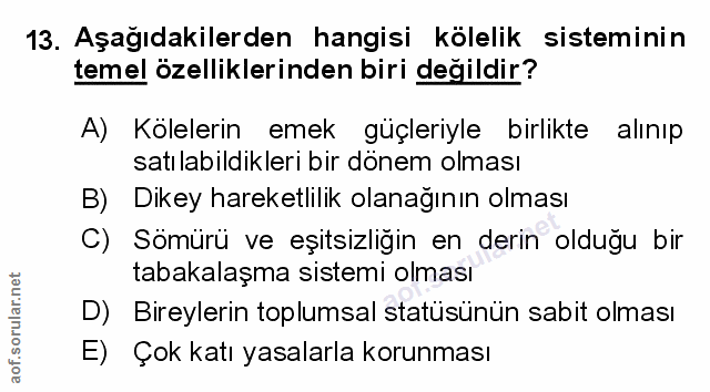Soru 13