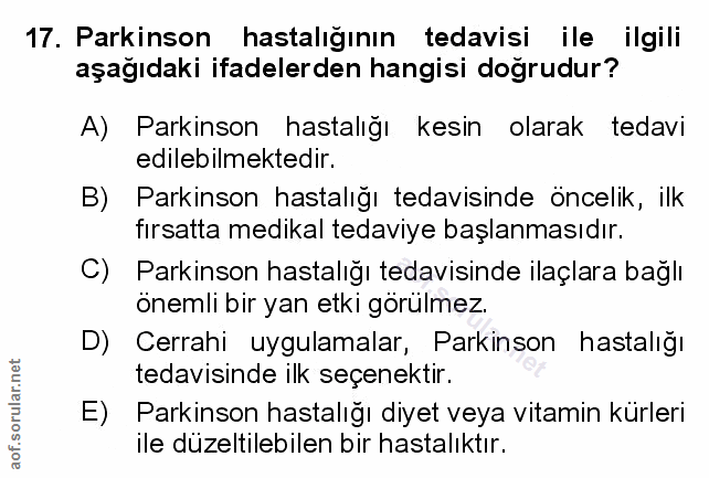Soru 17