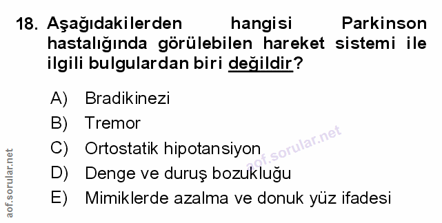 Soru 18