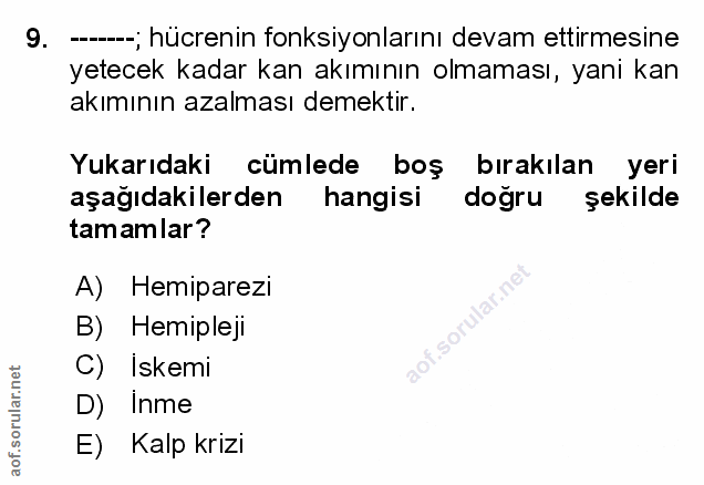 Soru 9