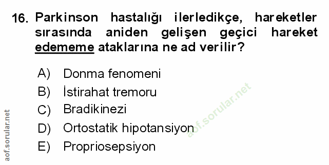 Soru 16