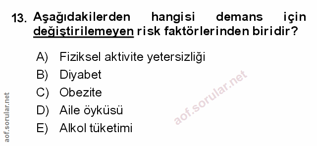 Soru 13