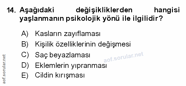 Soru 14