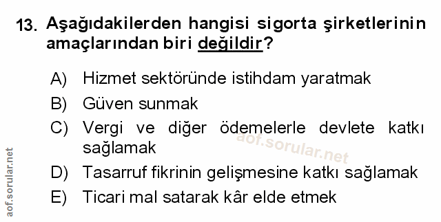 Soru 13