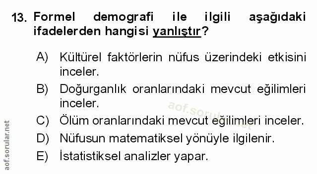Soru 13