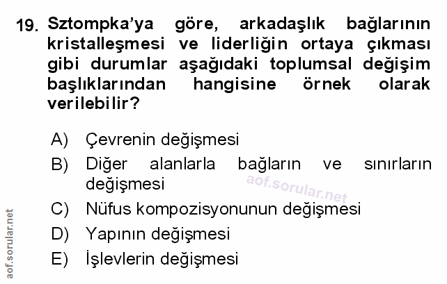 Soru 19