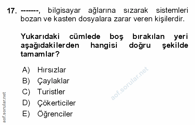 Soru 17