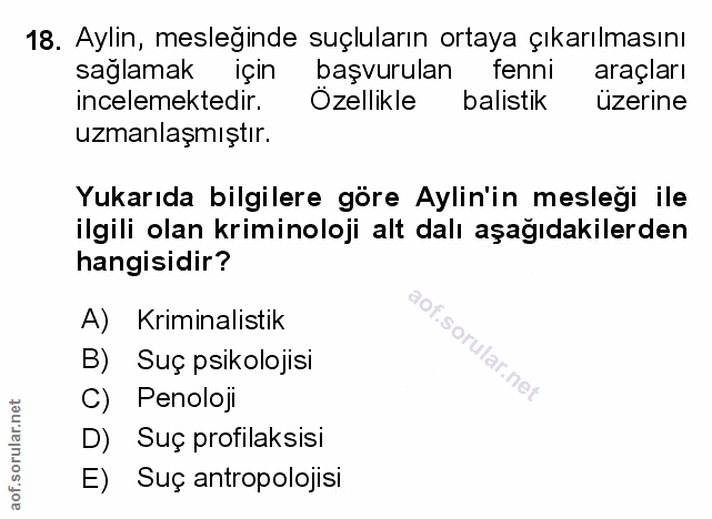 Soru 18