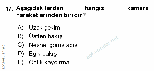 Soru 17