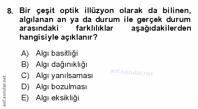 Soru 8