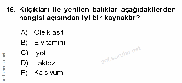 Soru 16