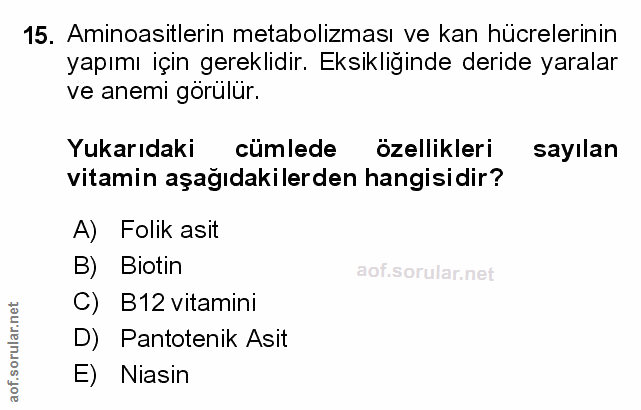 Soru 15