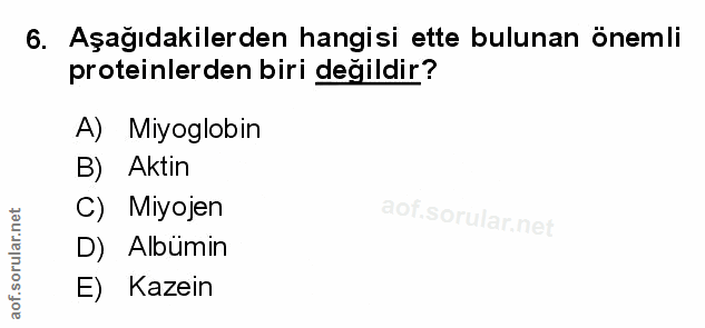 Soru 6