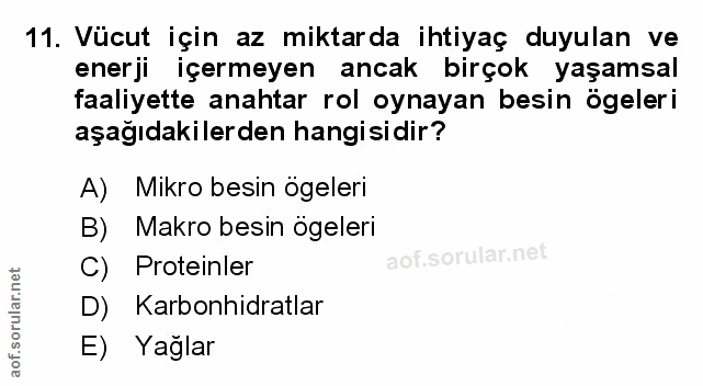 Soru 11