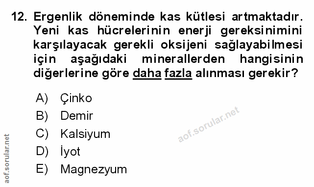 Soru 12