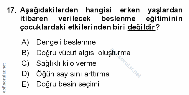 Soru 17