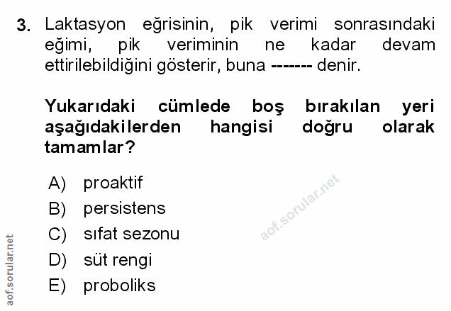 Soru 3