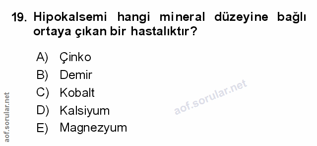 Soru 19