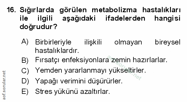 Soru 16