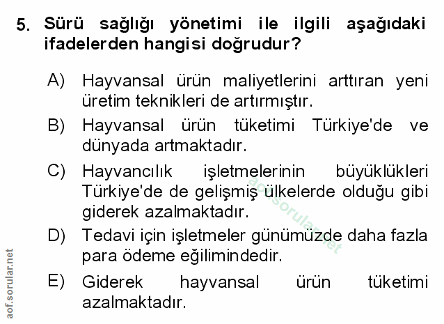 Soru 5