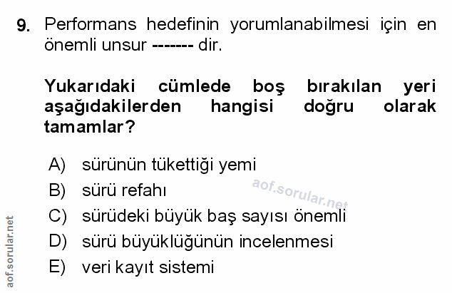 Soru 9