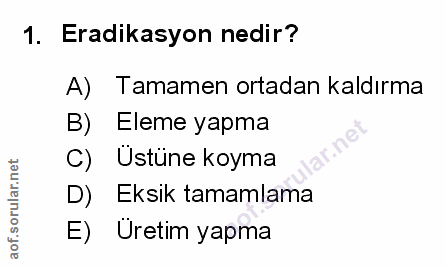 Soru 1