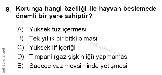 Soru 8