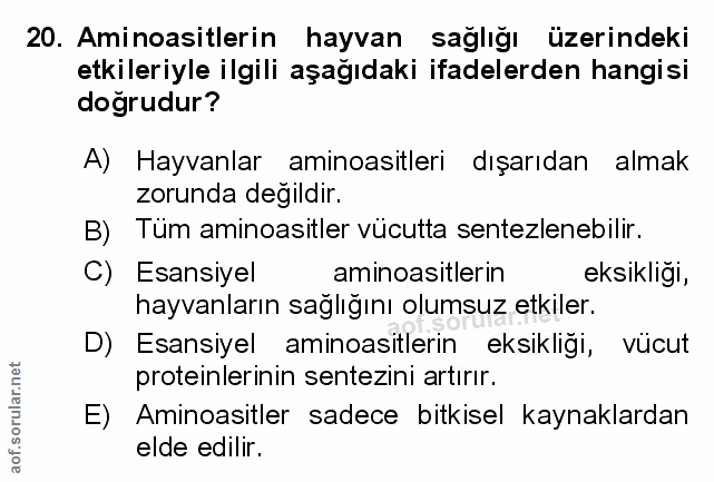 Soru 20