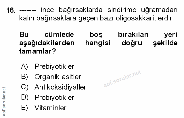 Soru 16
