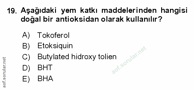 Soru 19