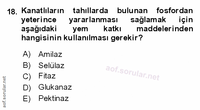 Soru 18